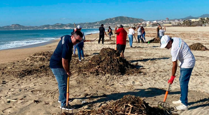 Realizarán mega campaña de limpieza “Juntos eliminemos el lirio acuático” en SJC