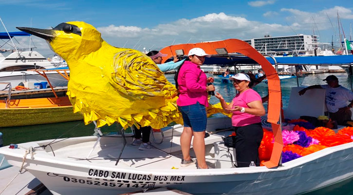 Promueven protección de la mascarita peninsular en Los Cabos