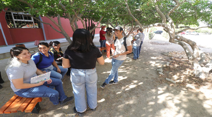 Instalan en la UABCS el primer oasis urbano