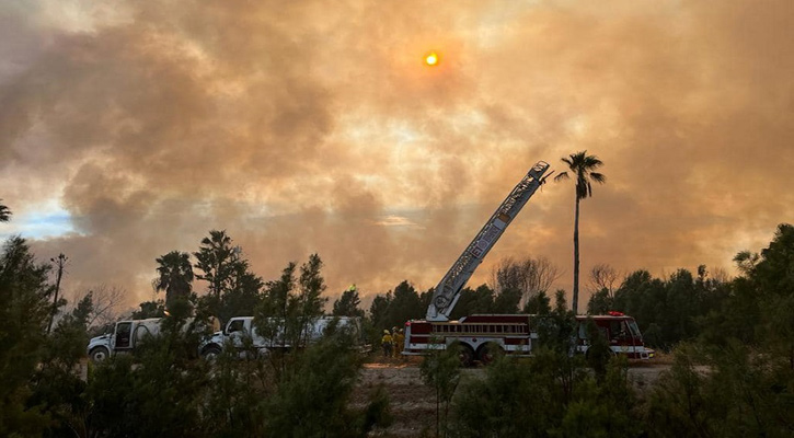 Primer incendio del año en el Estero de San José del Cabo; se desconocen las causas