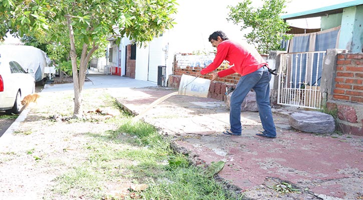 Se han confirmado en el año 80 casos de dengue en BCS; 64 corresponden a Los Cabos