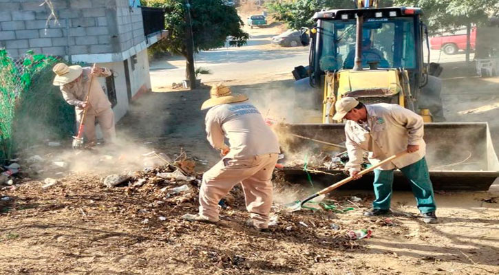 Efectúan jornadas de limpieza en las colonias de Los Cabos