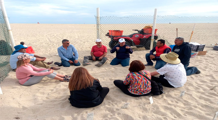 Reconocen labor de voluntarios en la protección de la tortuga en Los Cabos