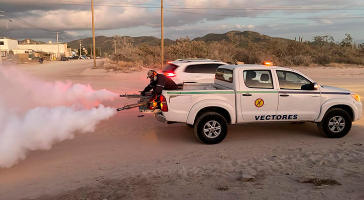 Se han registrado en BCS este año 187 casos de dengue; de esos Los Cabos 147