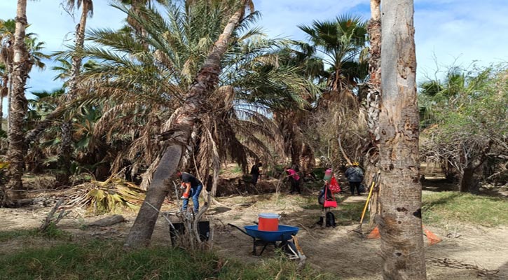 Generarán 200 empleos temporales las tareas para el rescate del Estero de SJC