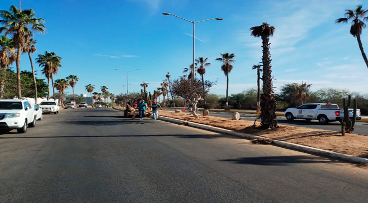 Efectuaron jornada de limpieza en Centro Histórico y zona turística de San José del Cabo