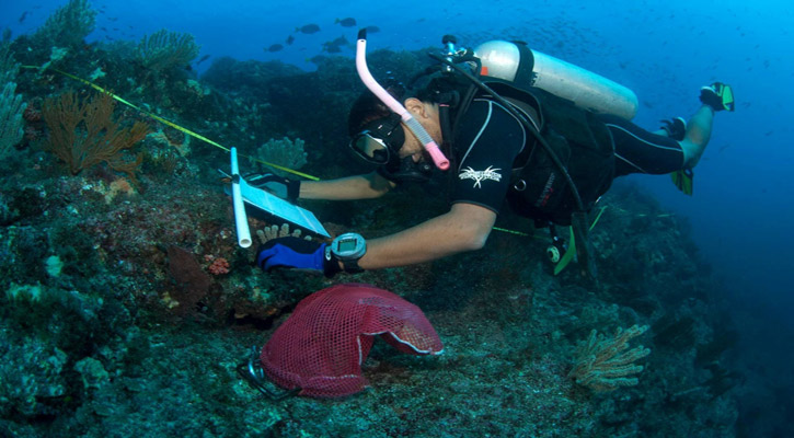 Están degradados el 90% de los sitios de los arrecifes del Golfo de California; Investigadores