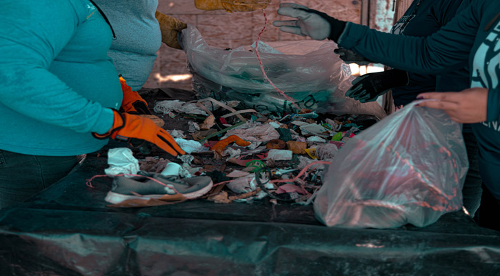 Recolectaron 300 kilos de residuos de la playa Las Pacas en La Paz; el 27% fueron plásticos