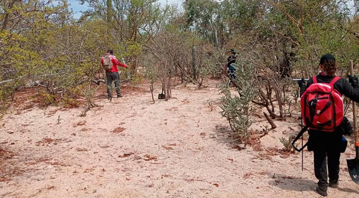 Culpa Alcaldesa de La Paz al pasado de fosas clandestinas, pero hay casos de fecha reciente