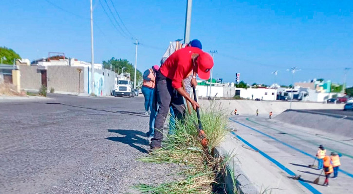 Por haber apoyado en campaña, trabajadores de empleo temporal en La Paz piden no los despidan