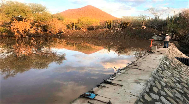 Trabajan en asegurar disponibilidad de agua para uso agropecuario con obras de retención en BCS