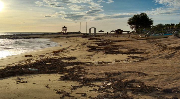 Importante acumulación de basura en playas de Los Cabos; todas se mantendrán cerradas