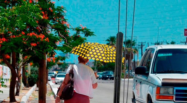 Estiman El Vizcaíno alcance los 45° este fin de semana; pese a la falta de lluvias, se mantiene pronóstico