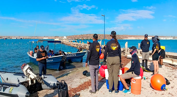 Participan académicos de la UABCS en capacitación y entrenamiento para el desenmalle de grandes ballenas