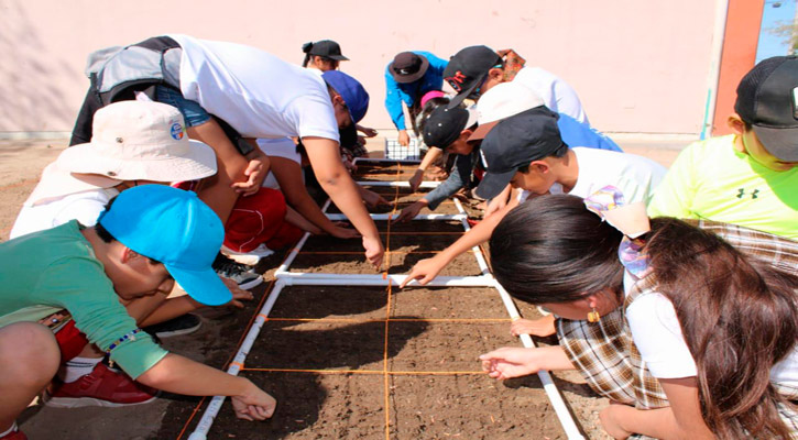 Aplican programa de Huertos Escolares en 10 escuelas de La Paz y Los Cabos