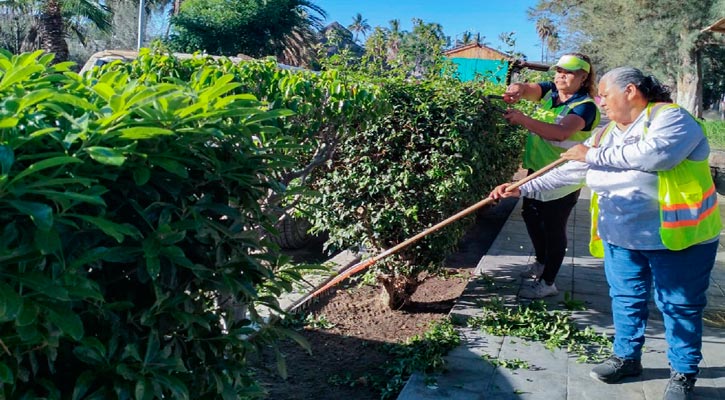 Dan mantenimiento al parque Los Pinos de Todos Santos