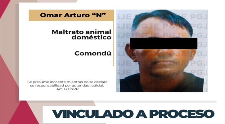 Vinculan a proceso a imputado por maltrato animal doméstico en Ciudad Constitución