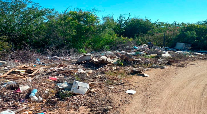 Multas de hasta 2 mdp a quienes sean sorprendidos tirando basura o creando tiraderos clandestinos en Los Cabos