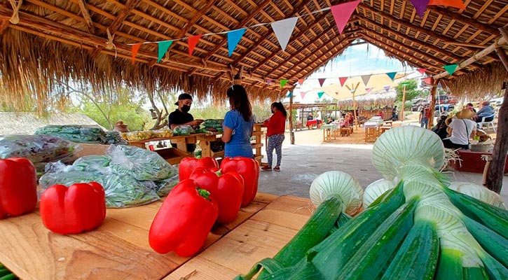 Analiza el Ayuntamiento de La Paz un mercado de productos sudcalifornianos