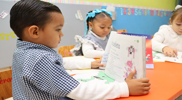 Participan educadoras de BCS en la elaboración y revisión de libros de texto