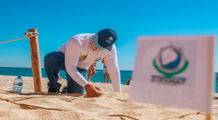 Continúa Zofemat Los Cabos con la revisión de playas certificadas Blue Flag temporada 2024-2025