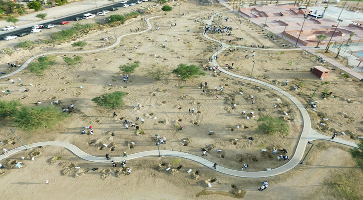 Reforestan con 500 árboles el Centro Deportivo Municipal “El Piojillo” en La Paz