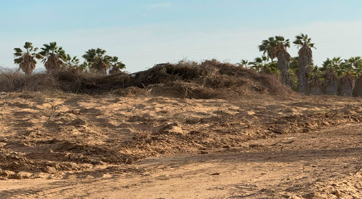 Levantan acta circunstanciada y suspenden actividades contra un desarrollo ubicado en La Ribera