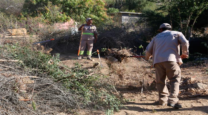 Efectuó DIF Los Cabos jornada de limpieza y mantenimiento en par de Centros de Desarrollo de SJC