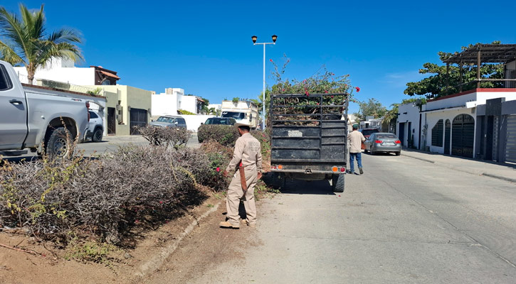 Invita Servicios Públicos a la campaña de limpieza en la colonia Monte Real en SJC