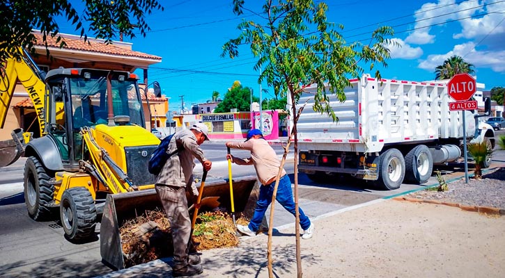 Recolectó Servicios Públicos de La Paz más de 9 mil toneladas de residuos en el 2024