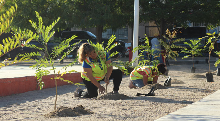 Se reutilizaron más de 13 millones de litros de agua tratada en La Paz el 2024