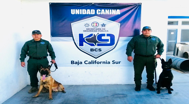 Suma la SSPE dos caninos donados por la Embajada de EU para fortalecer operativos de seguridad