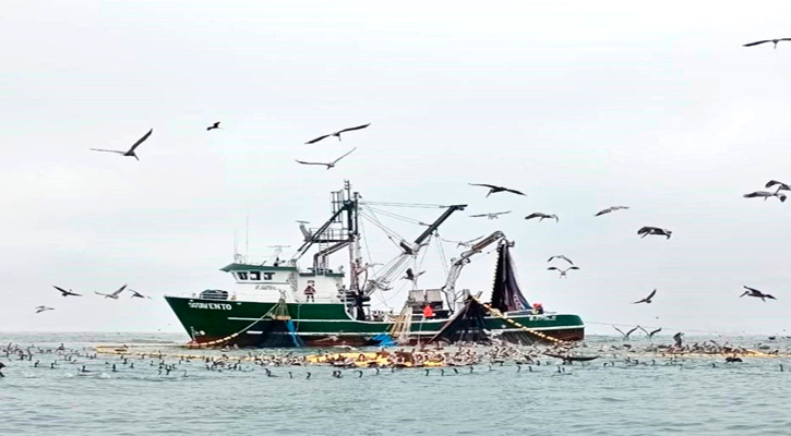 Operaba barco sardinero a menos de 3 millas de la costa en Boca de La Soledad; intervienen autoridades