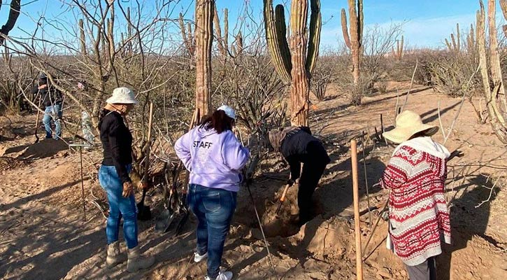 Aumentan a 14 las osamentas encontradas en fosas clandestinas de La Paz