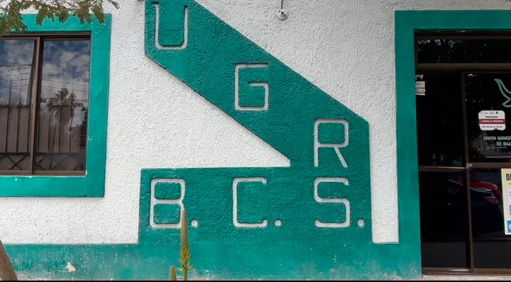 “Hemos recibido apoyos del gobierno de BCS”: Unión Ganadera Regional