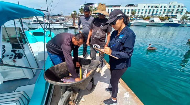 En marcha el programa de medición de pesca de Imipas-Fonmar