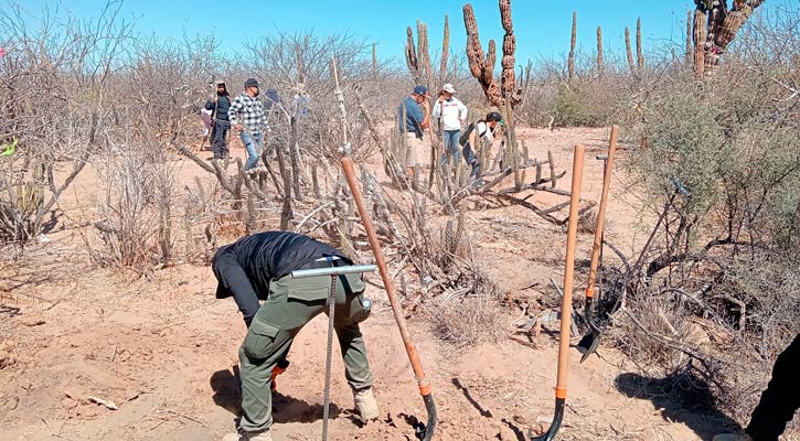 Siguen apareciendo más fosas clandestinas; otras 6 este domingo